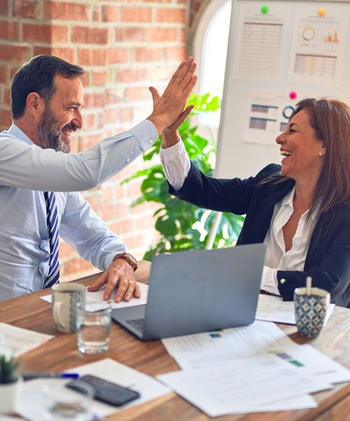 Non ullam reiciendis