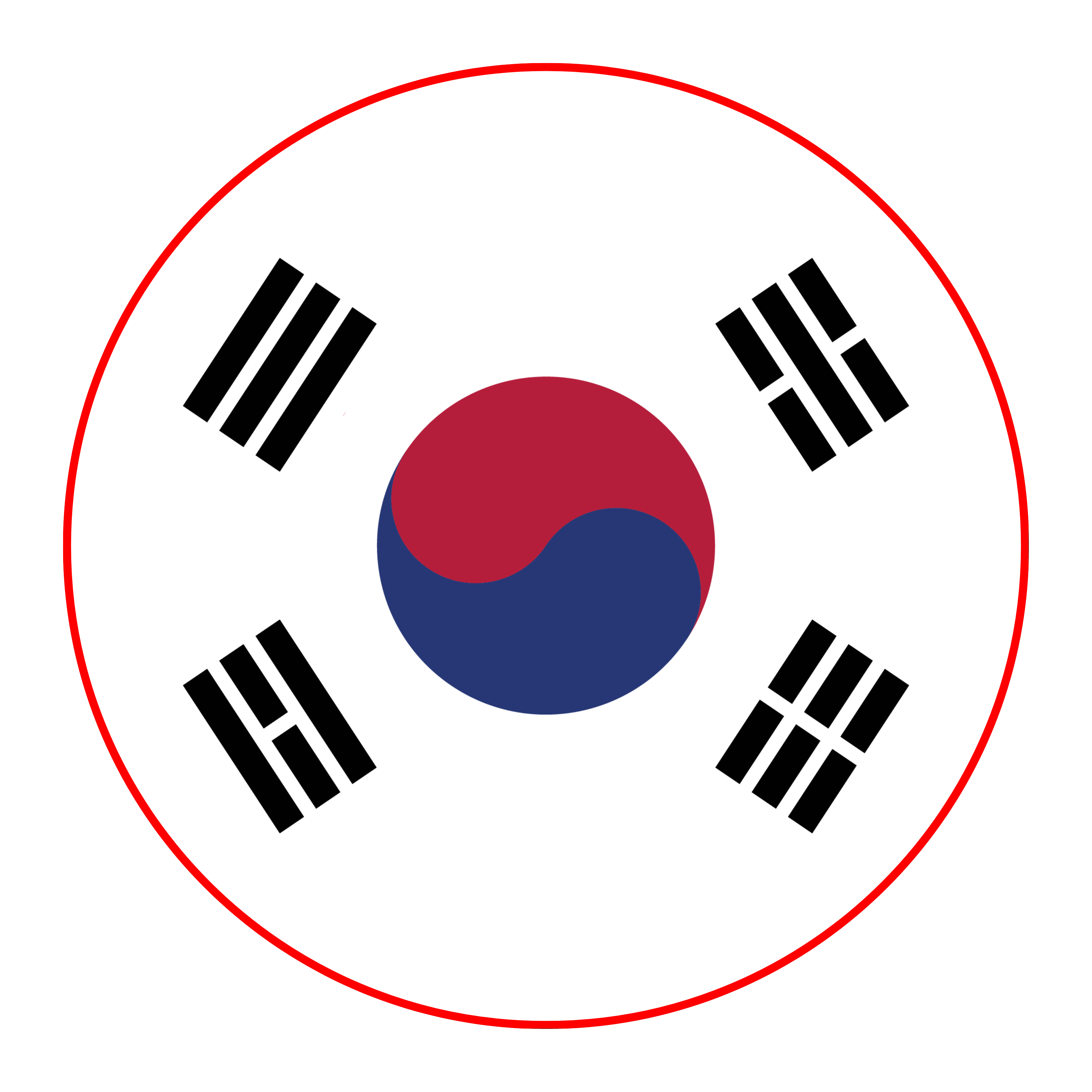South Korea Flag