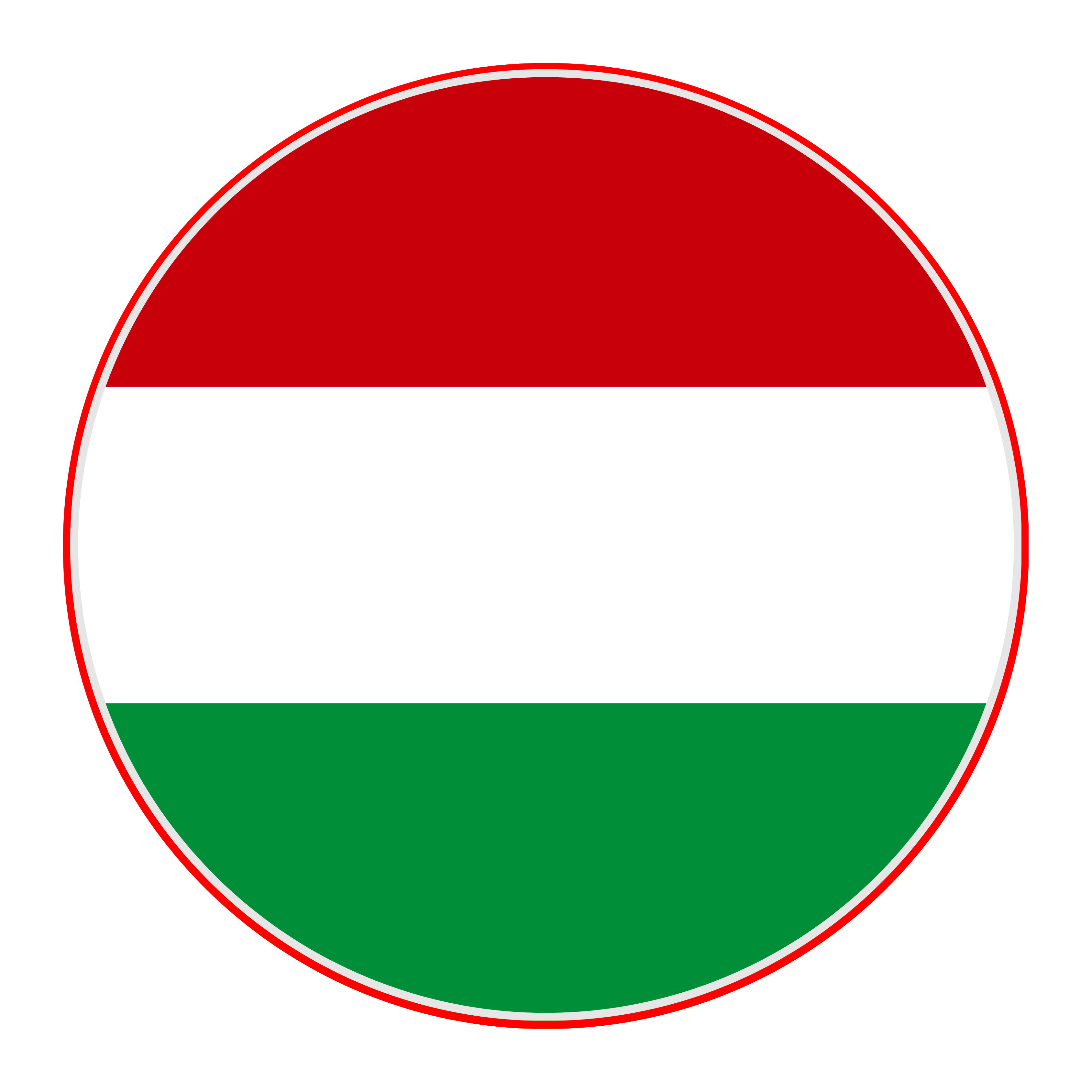 Hungary Flag