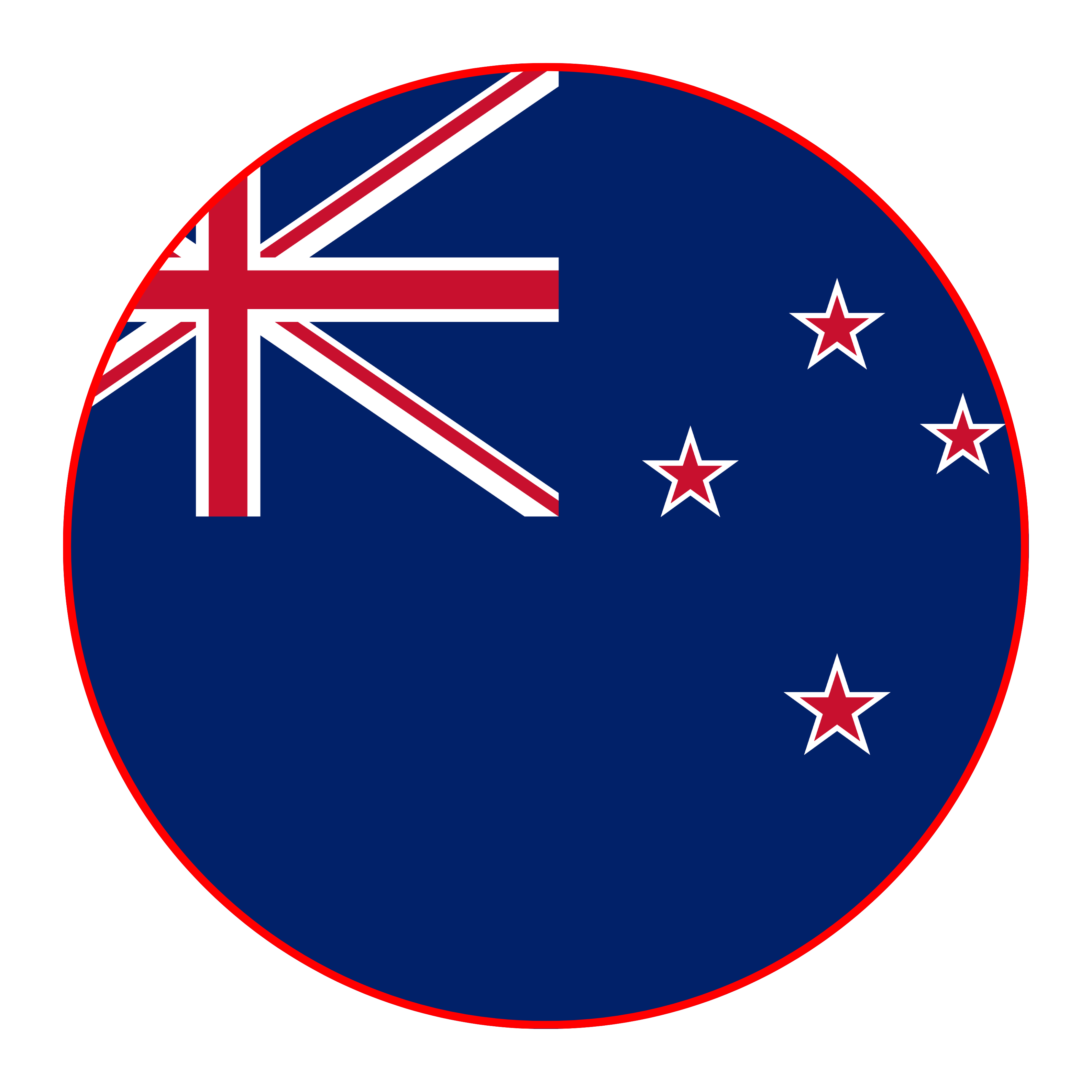 Study in New Zealand Flag